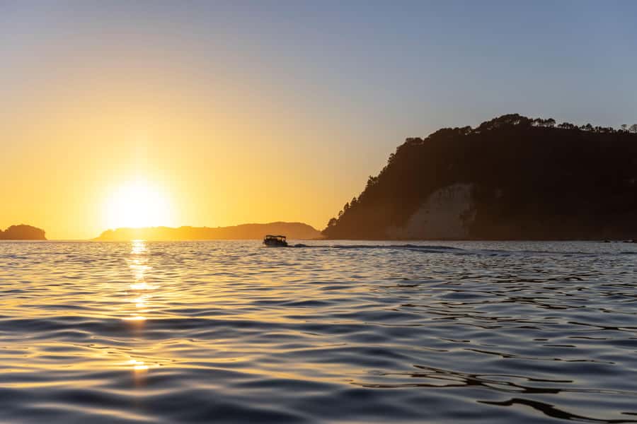 Auckland: Coromandel Driving Creek & Cathedral Cove Day Tour - Who should take this Coromandel day trip?