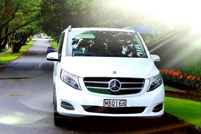 Auckland Cruise/Wharf & Airport Transfers - Key points to know before you book