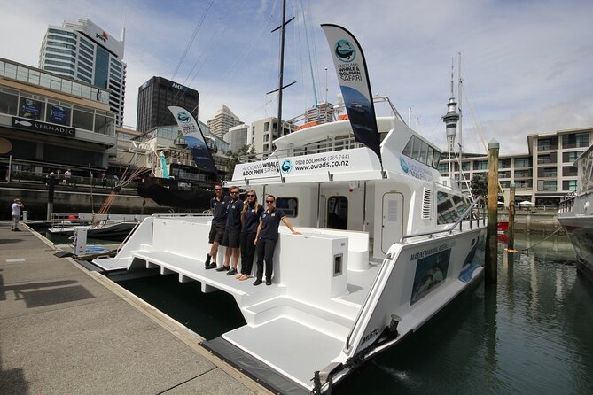 Auckland Dolphin and Whale Watching Eco-Safari Cruise - The first views: Waitemata Harbour and the Harbour Bridge