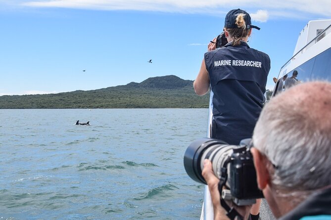 Auckland Dolphin and Whale Watching Eco-Safari Cruise - What the $135.91 price buys you