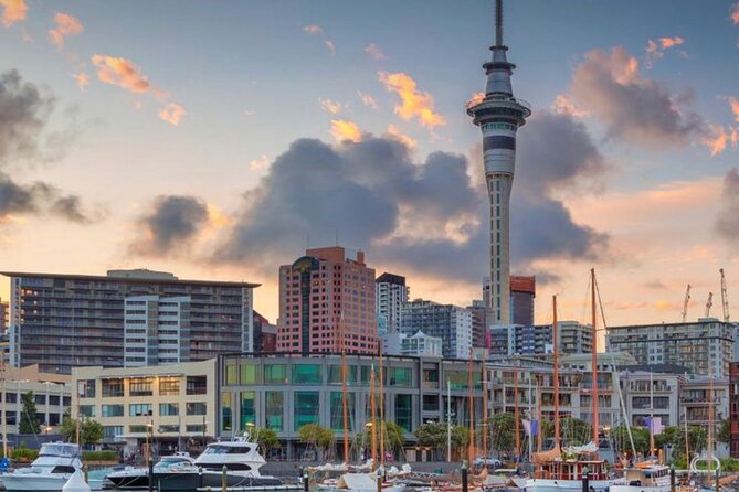 Auckland Downtown Hotel Transfers to/from Cruise Ship in Minivan - The driver makes the difference