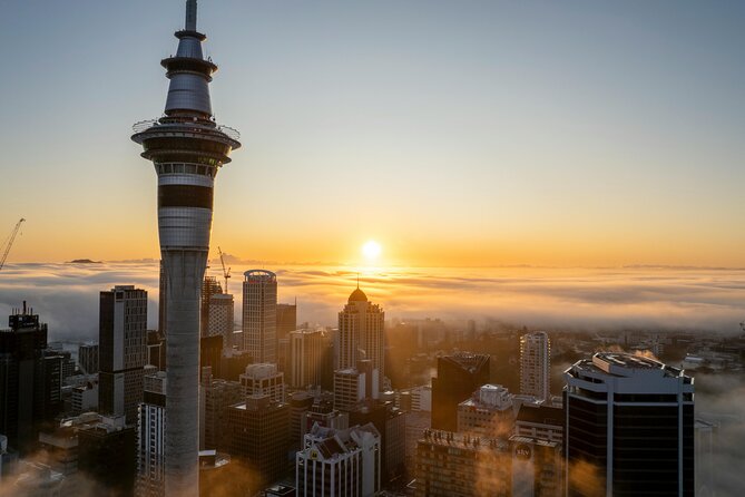 Auckland Full Day Attractions & Museums Tour - Why this seven-hour route works for a first day