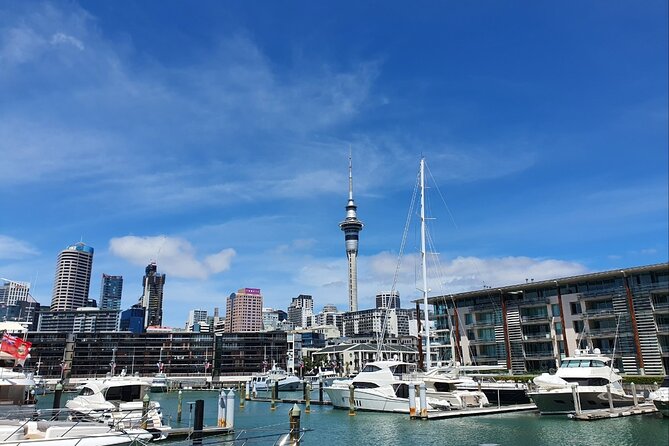 Auckland Full Day Attractions & Museums Tour - Ninety minutes inside Auckland Museum