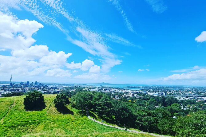 Auckland Full Day Attractions & Museums Tour - Auckland Domain Wintergardens for a quieter half hour