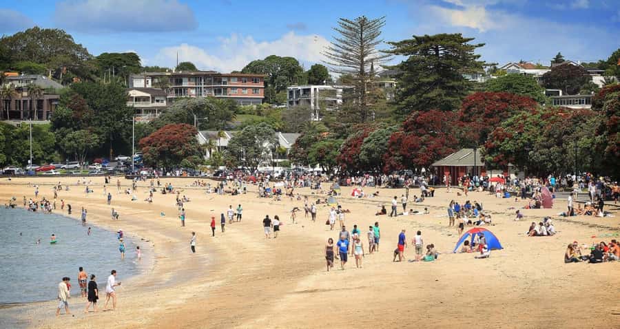 Auckland: Full-Day City Tour - Why this works for a first Auckland day