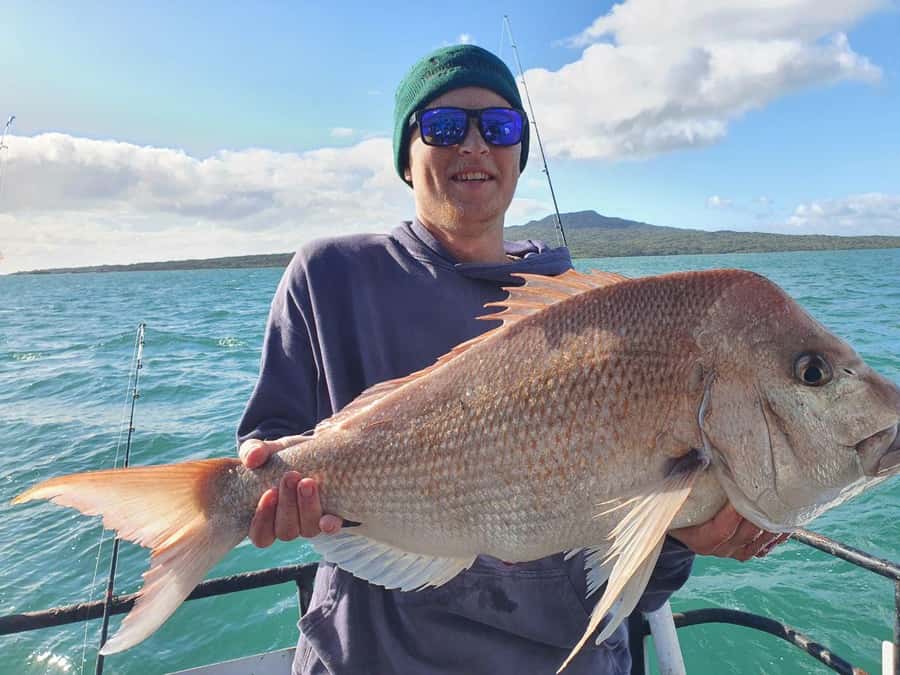 Auckland: Full-Day Fishing Charter (7 am - 4 pm) - What you can catch and what that means