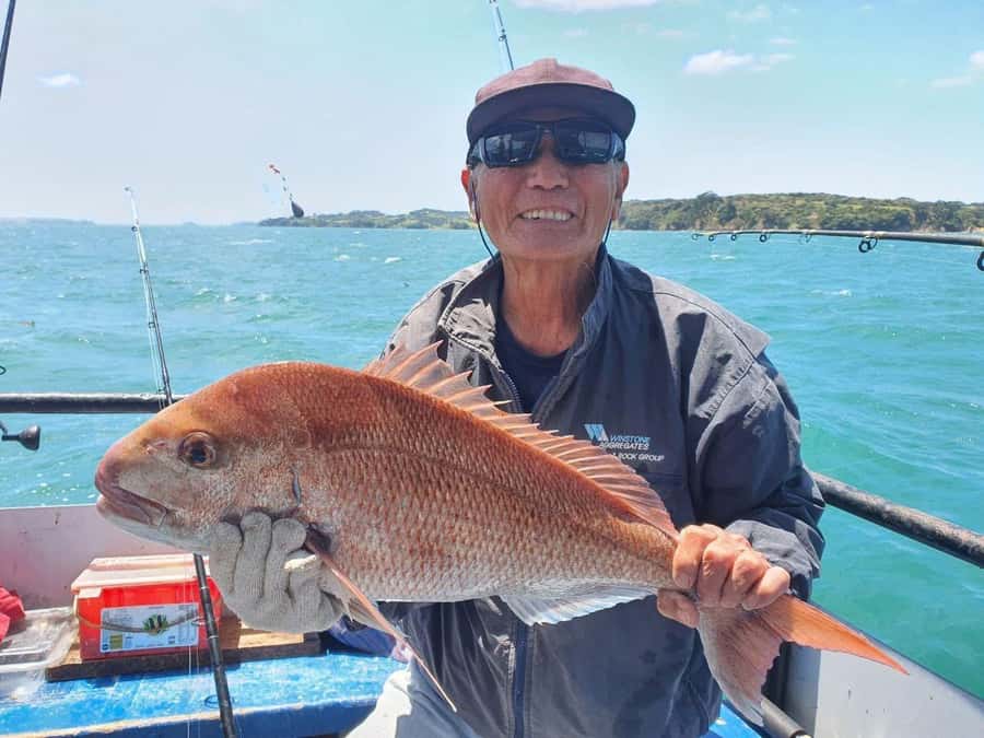 Auckland: Full-Day Fishing Charter (7 am - 4 pm) - Coastal views between fishing spots