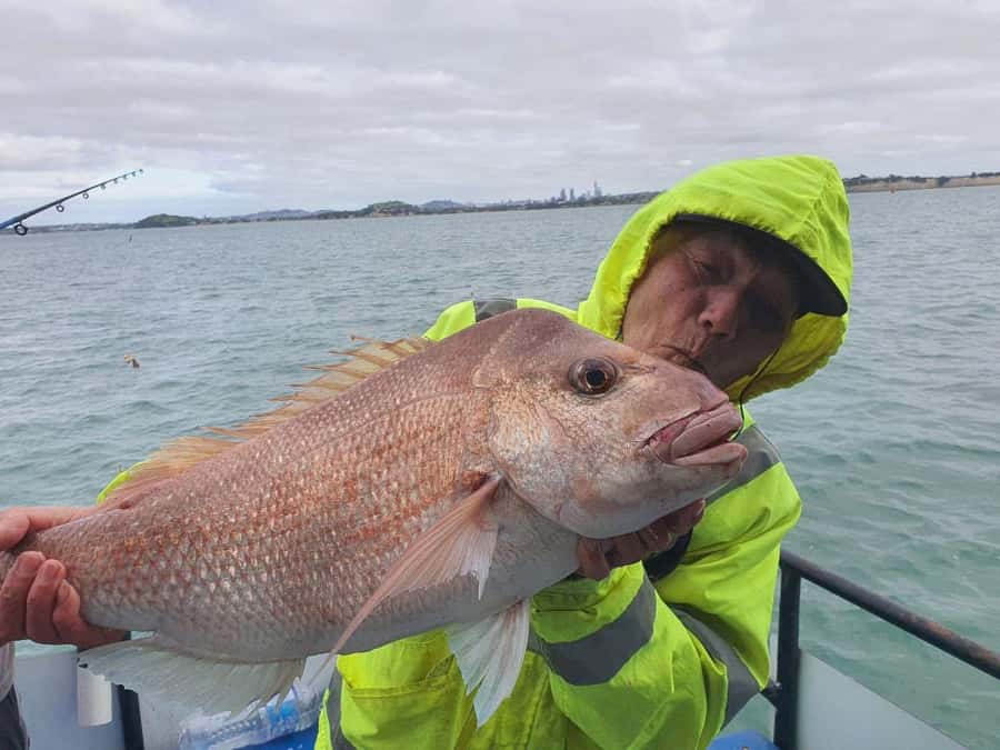 Auckland: Full-Day Fishing Charter (7 am - 4 pm) - Lunch, drinks, and the long middle of the day