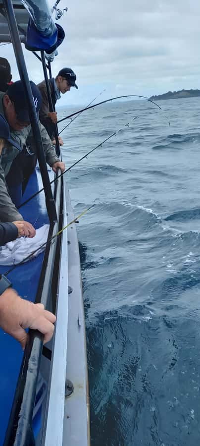 Auckland: Full-Day Fishing Charter (7 am - 4 pm) - Smart preparation for the 7 am start