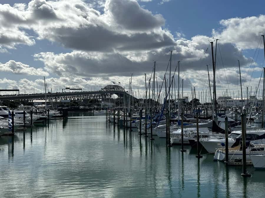 Auckland: GoGuided Auckland City Tour - Albert Park, the Domain, and Parnell