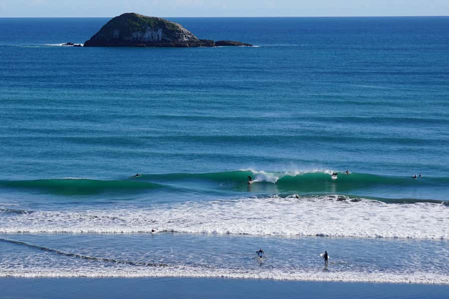 Auckland: Group Surfing Lesson with Muriwai Surf School - How much value do you get for $41?