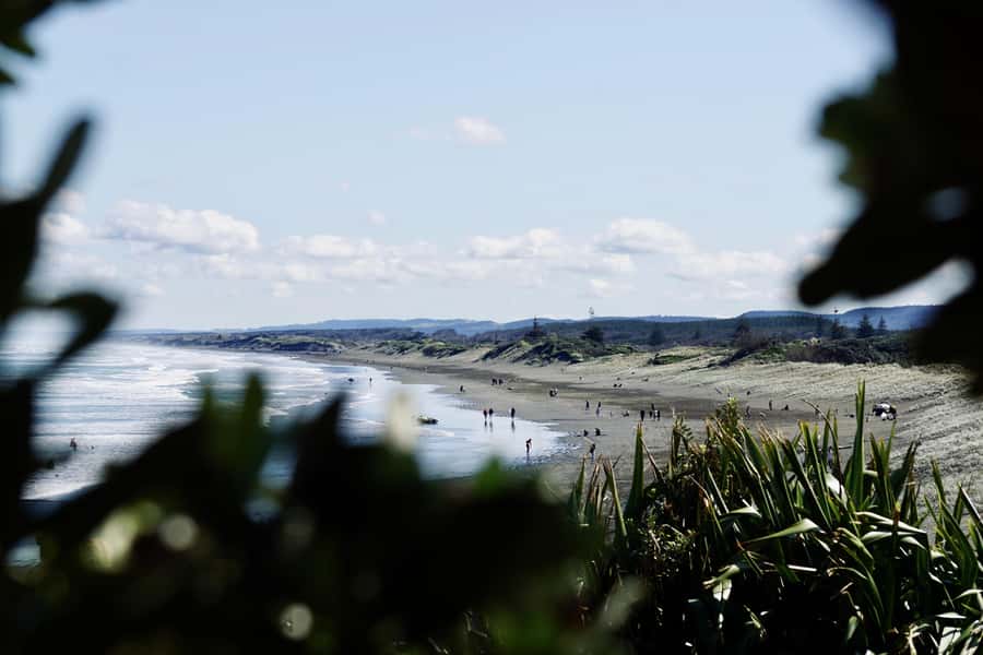 Auckland: Group Surfing Lesson with Muriwai Surf School - What to bring and how to prepare