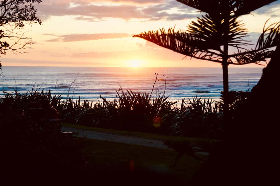 Auckland: Group Surfing Lesson with Muriwai Surf School - My verdict on the Muriwai Surf School lesson