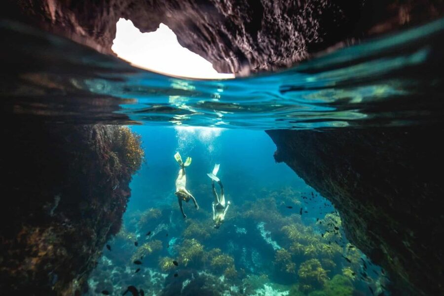 Auckland: Guided Snorkeling and Island Exploration Tours - Why Tiritiri Matangi makes a strong base