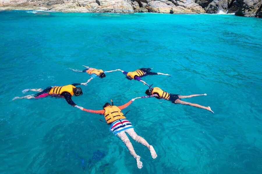 Auckland: Guided Snorkeling and Island Exploration Tours - Meeting your guide at the island wharf
