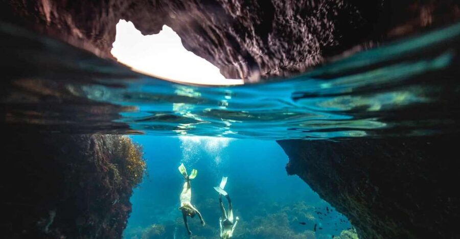 Auckland: Guided Snorkeling and Island Exploration Tours - What the snorkeling is really like