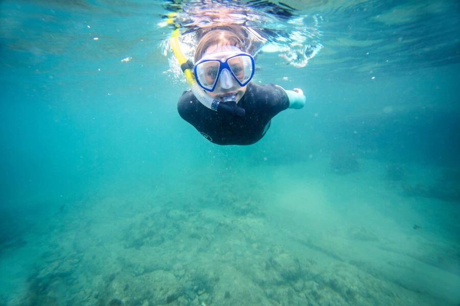 Auckland: Guided Snorkeling and Island Exploration Tours - Starting in the water with supplied equipment