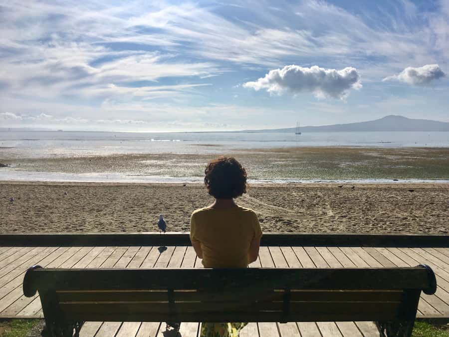 Auckland: Half-Day Auckland Volcanoes Tour - Mangere Mountain and the food market pause
