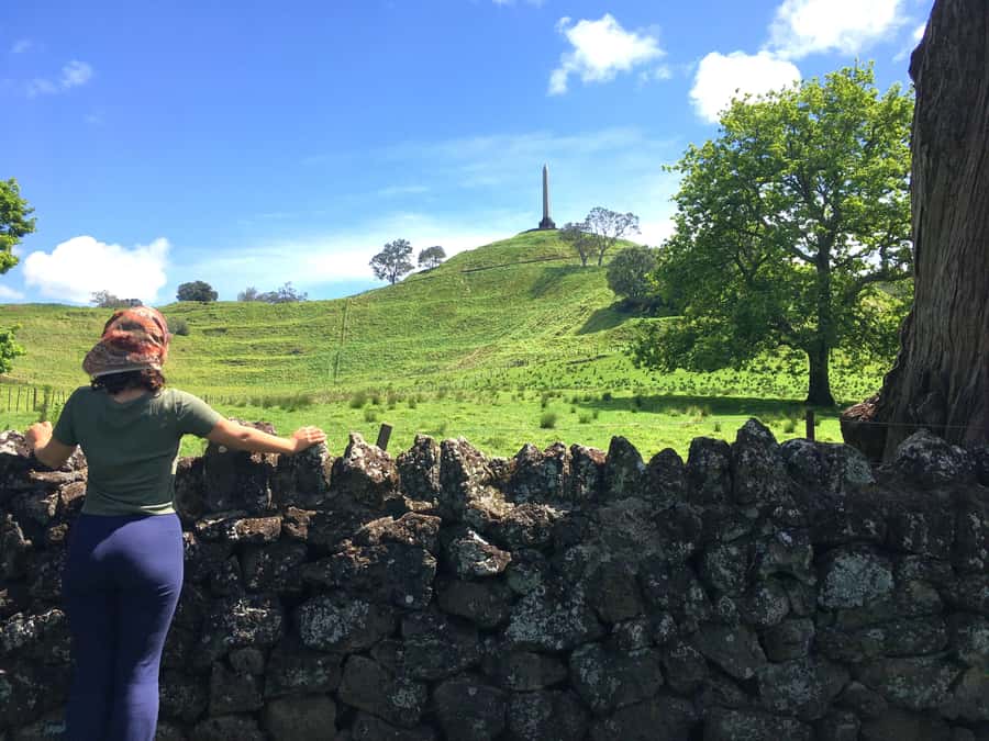 Auckland: Half-Day Auckland Volcanoes Tour - Booking details that matter