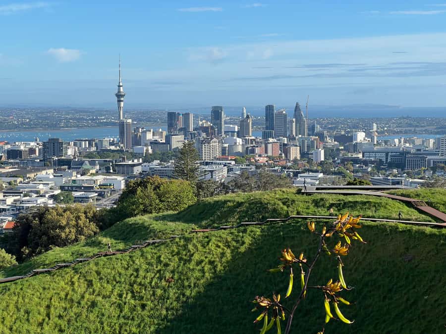 AUCKLAND: Half-Day CITY HIGHLIGHTS TOUR - Mt.Eden, Tamaki Dr - A quick way to get your Auckland bearings