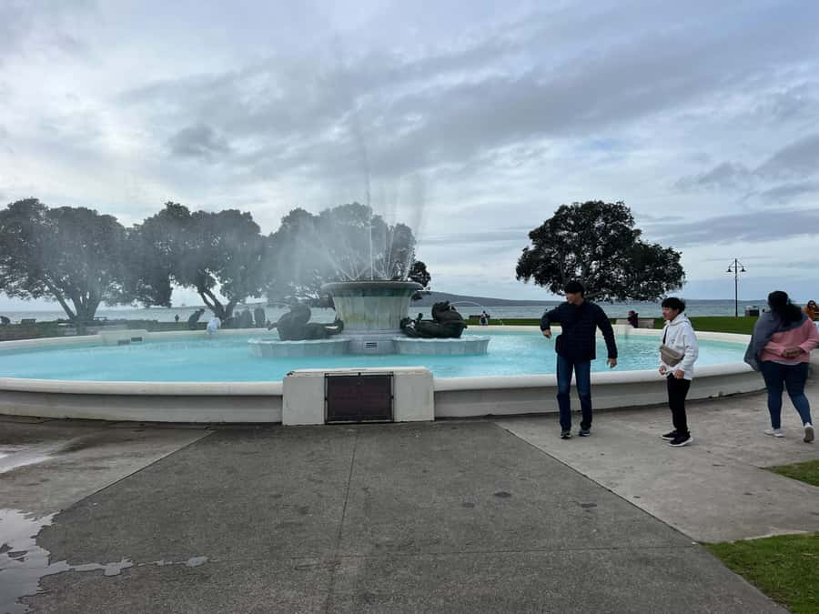 AUCKLAND: Half-Day CITY HIGHLIGHTS TOUR - Mt.Eden, Tamaki Dr - Mount Eden gives the tour its big finish