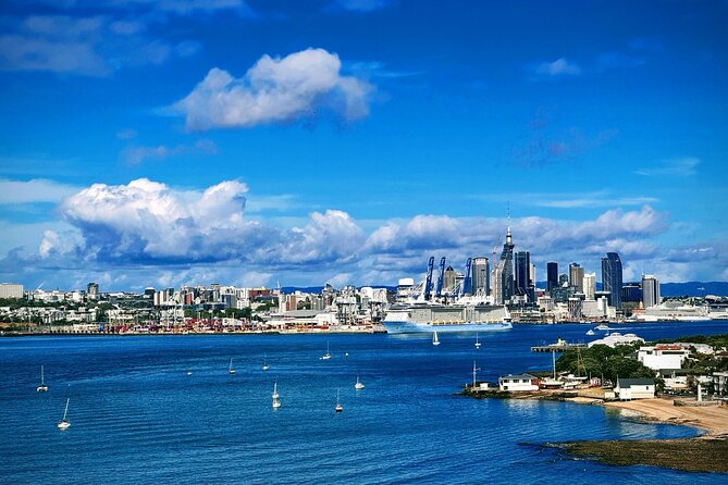 Auckland Half Day City Tour - Heart of Auckland - Key points to know