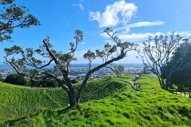 Auckland Half Day City Tour - Heart of Auckland - Cornwall Park and One Tree Hill