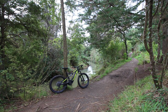 Auckland Half Day E-Bike Excursion - Henderson River, Opunuku Stream, and the Return Route