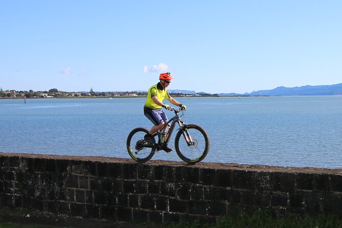 Auckland Half Day E-Bike Excursion - Who Will Enjoy This Ride Most?