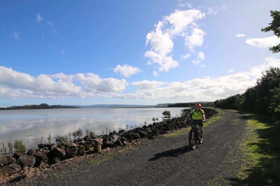 Auckland Half-Day Ebike Tour Excursion - What makes this Auckland ride different