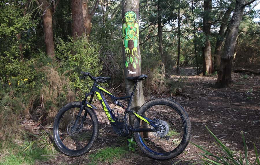 Auckland Half-Day Ebike Tour Excursion - Starting beside Victoria Park at 8:30