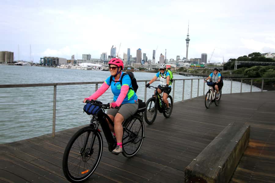 Auckland Half-Day Ebike Tour Excursion - Western Springs and the lake loop