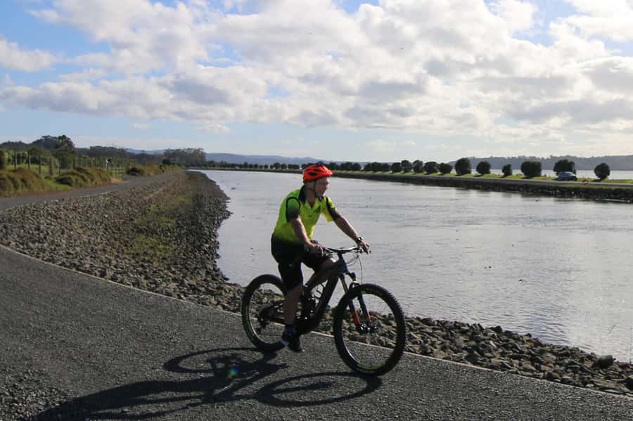 Auckland Half-Day Ebike Tour Excursion - Older western suburbs and back pathways