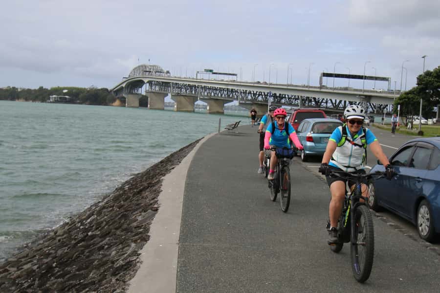 Auckland Half-Day Ebike Tour Excursion - Returning to Victoria Park by 12:30