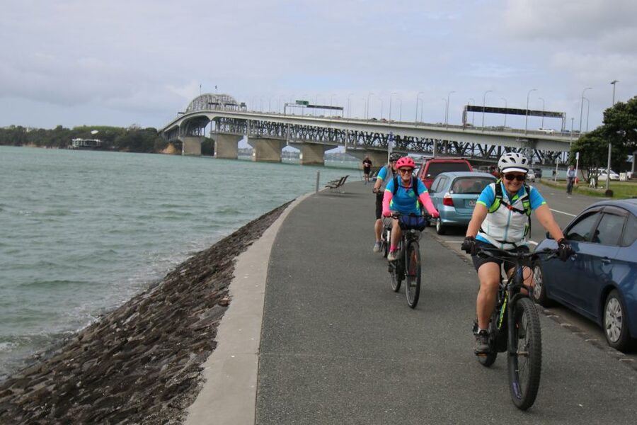 Auckland Half-Day Ebike Tour Excursion - What $89 buys you