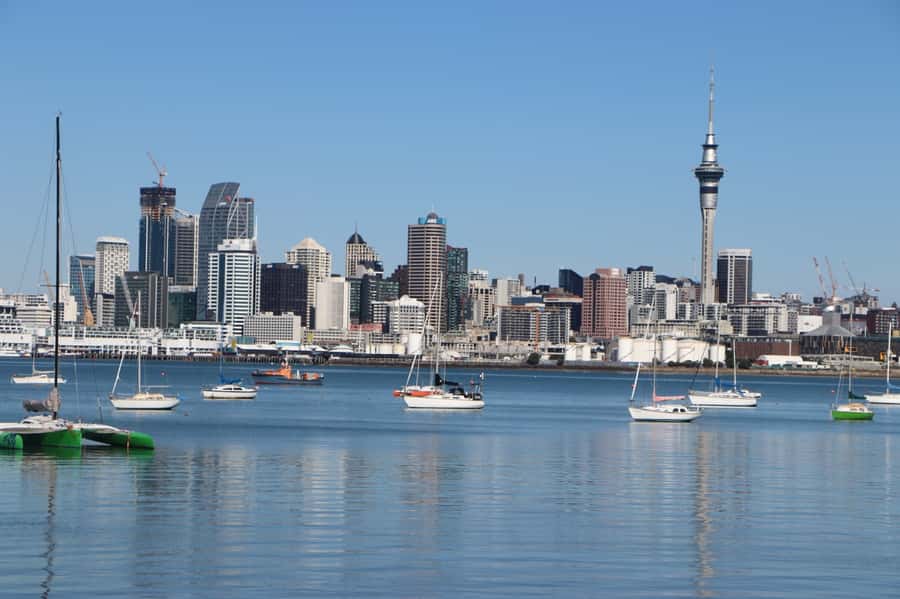 Auckland: Half-Day Scenic Sightseeing Tour - Why this half-day tour works for first-time Auckland visitors