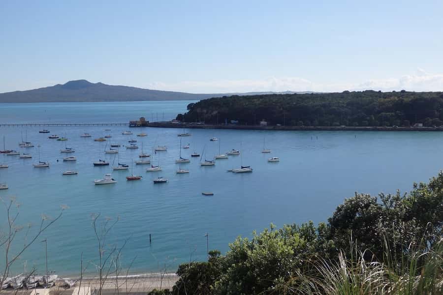 Auckland: Half-Day Scenic Sightseeing Tour - Following Tamaki Drive to Mission Bay