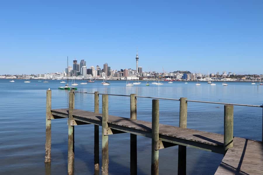 Auckland: Half-Day Scenic Sightseeing Tour - Guide quality and the feel of the group