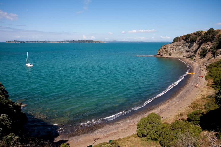 Auckland: Half-Day Sea Kayak Tour to Motukorea Island - Why Motukorea Makes a Fine Auckland Escape