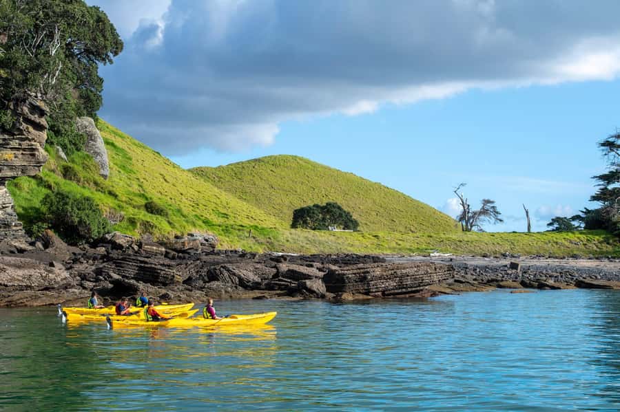 Auckland: Half-Day Sea Kayak Tour to Motukorea Island - Who Should Book This Tour?