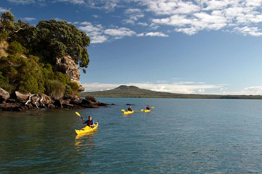 Auckland: Half-Day Sea Kayak Tour to Motukorea Island - Learning to Handle the Sea Kayak