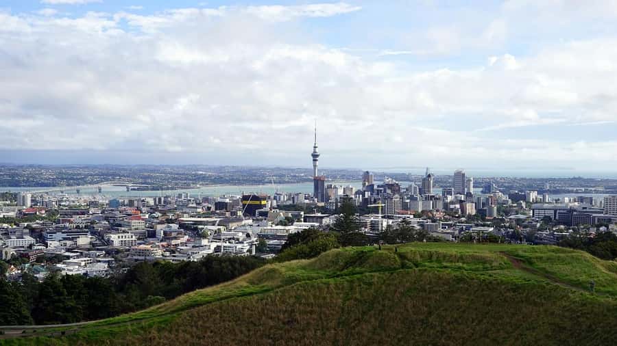 Auckland Half Day Tour Through Urban Wonders - Sam’s guiding style adds value to a short schedule