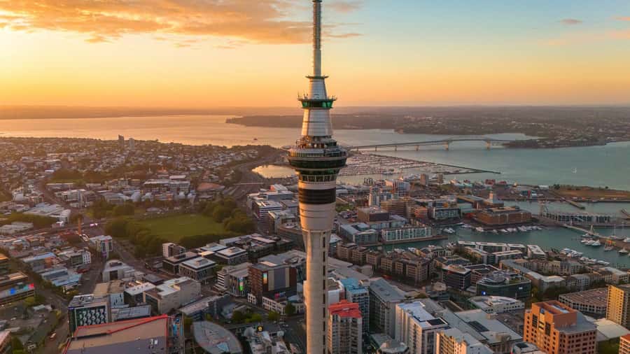 Auckland Half Day Tour Through Urban Wonders - Practical details that affect your day
