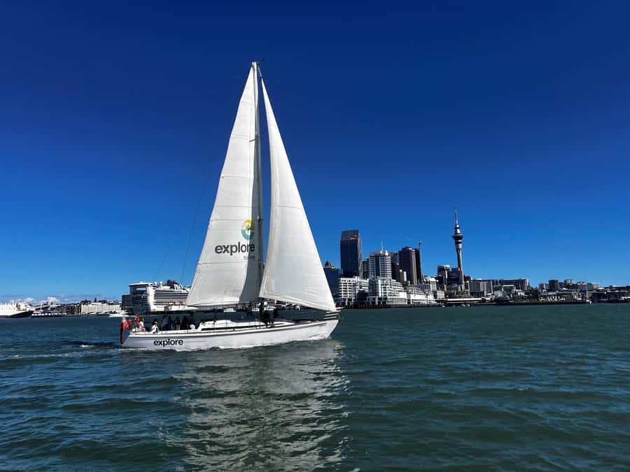 Auckland Harbour 1.5-Hour Sailing Cruise - Why this Auckland sailing cruise is worth considering
