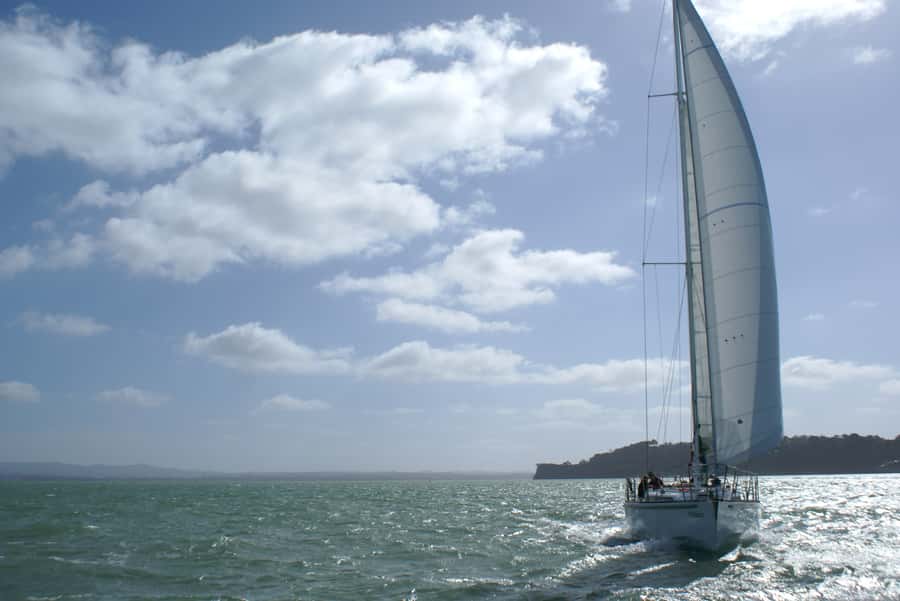 Auckland Harbour 1.5-Hour Sailing Cruise - The small comforts on board