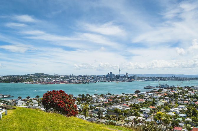 Auckland Harbour Cruise - Who will enjoy this Auckland Harbour cruise?