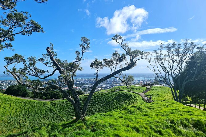 Auckland Hidden Gem Half Day Tour - Five Auckland sights in one short outing