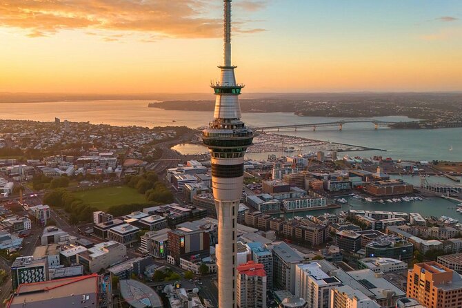 Auckland Highlight Attractions Small Group Tour - Why this half-day route works in Auckland