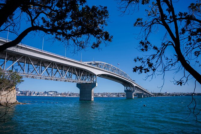 Auckland Highlight Attractions Small Group Tour - Finding calm in Holy Trinity Cathedral