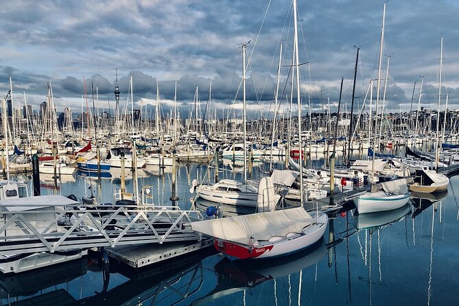Auckland Highlight Attractions Small Group Tour - The guide can shape the experience